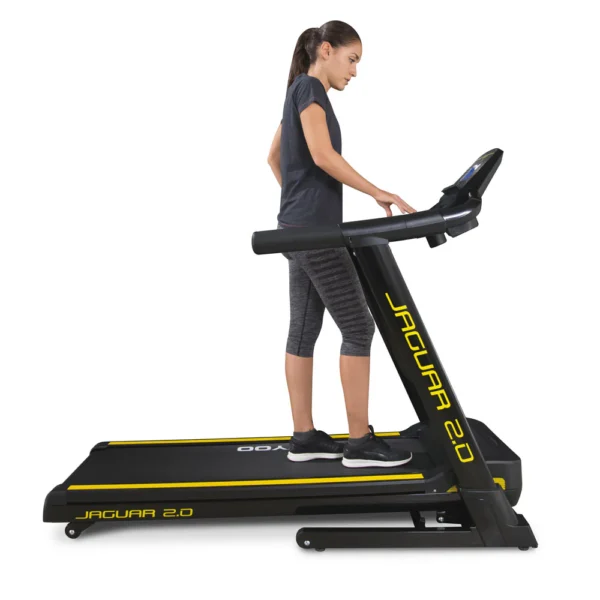 jaguar 2.0 jaguar 2.0