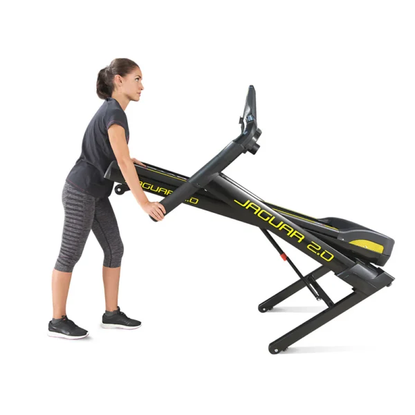 jaguar 2.0 jaguar 2.0